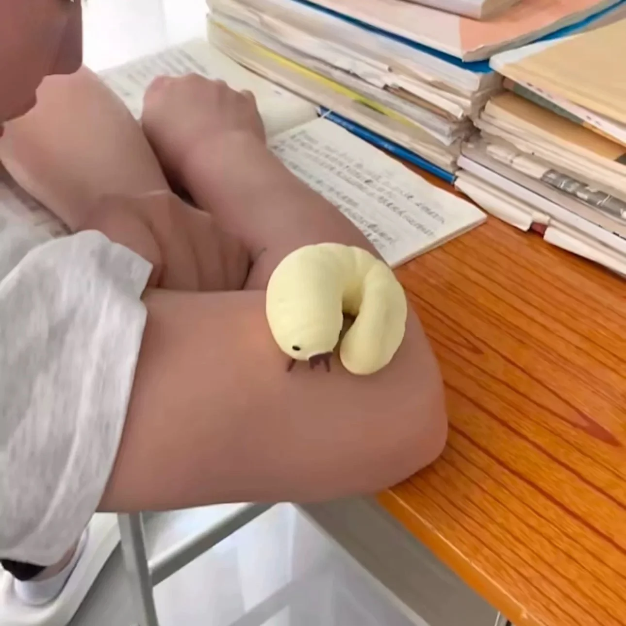 Juguete Antiestrés de Gusano de Pan Blandito, de Rebote Lento, Textura de Lodo, No Tóxico, para Niños a Partir de 3 Años, Hecho en China