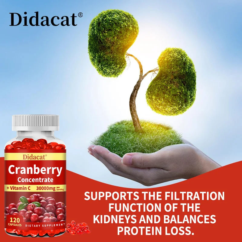 Cranberry extract contains natural flavonoids and proanthocyanidins, supports cardiovascular health, natural antioxidants
