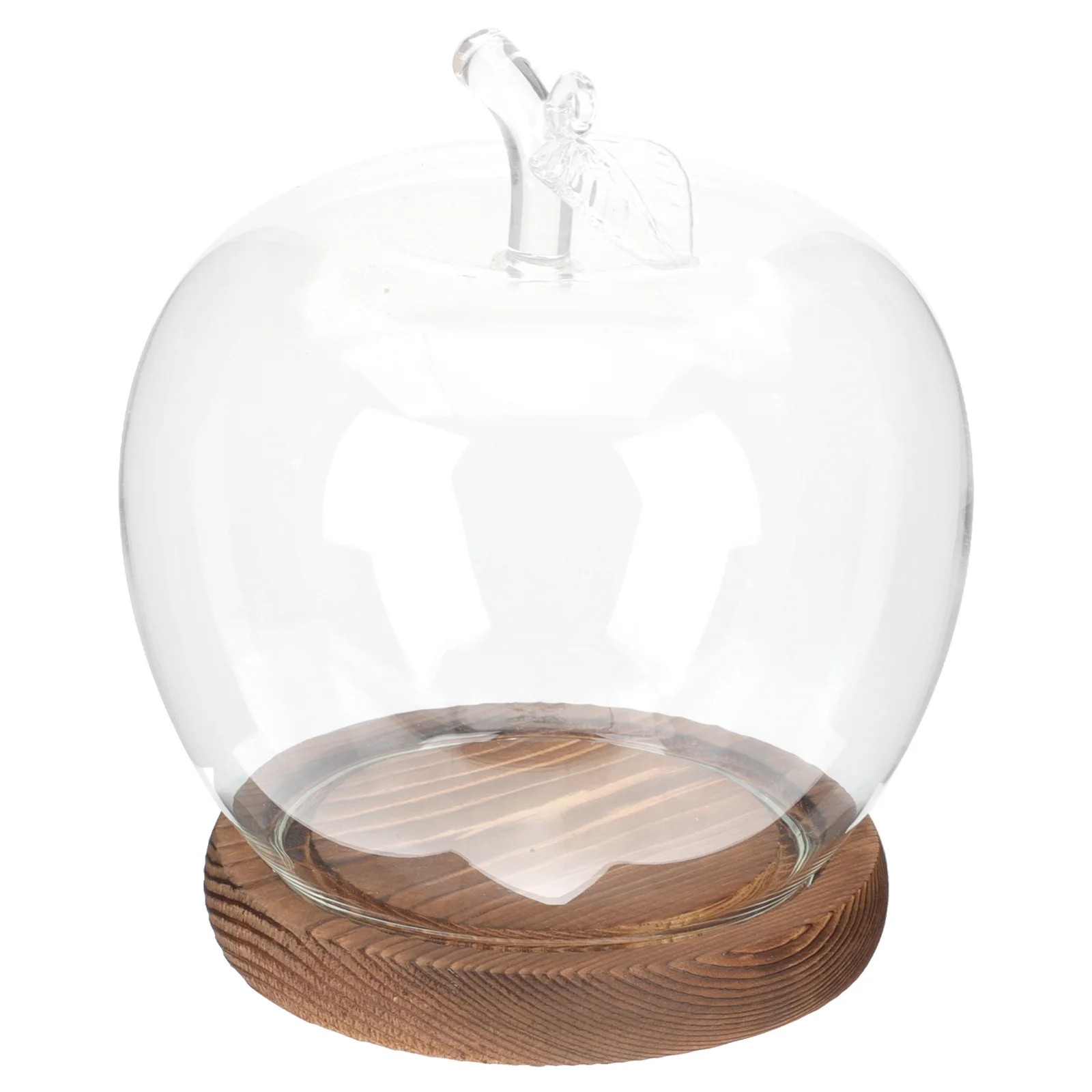

Apple Dome With Wood Base Clear Glass Display Cover For Crafts Flower Craft Desktop Decor Glass Dome With Base