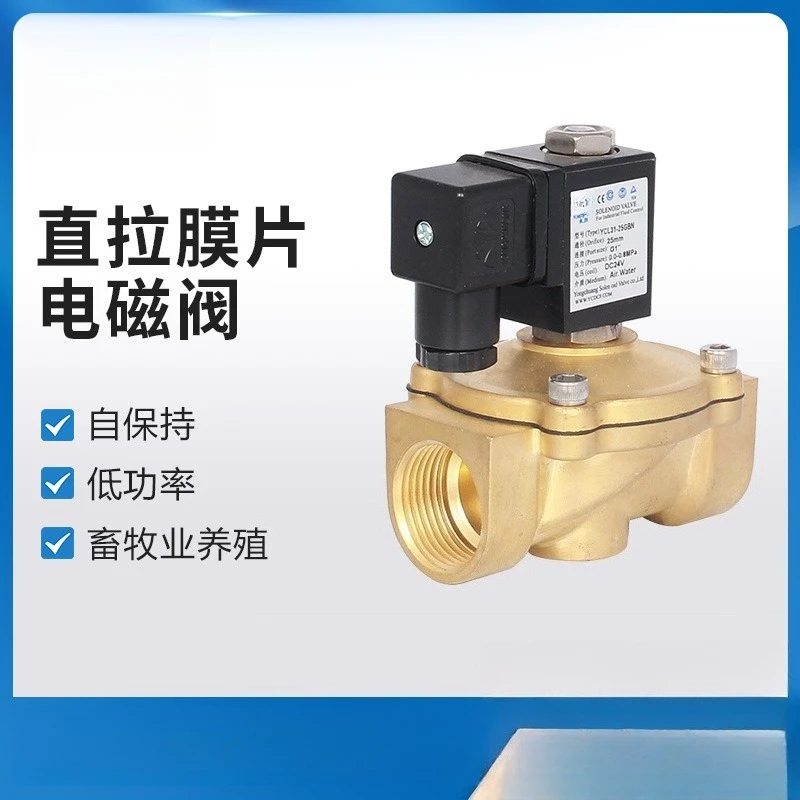 Direct Pull Diaphragm Solenoid Valve Self Holding Coil Low Power