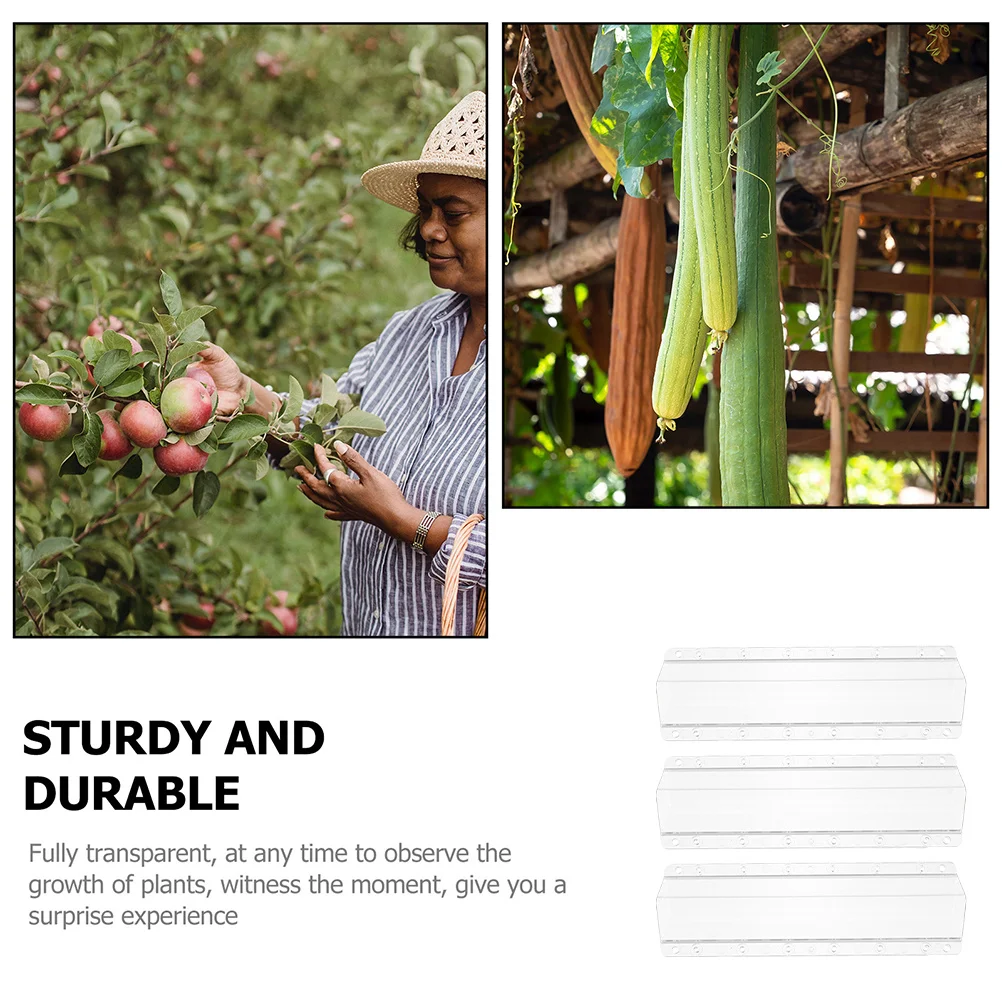 

3pcs Cucumber Growing Mold Square Vegetable Shaping Growth Tool Garden Pp Molding Kit Reusable For Gourd Ginseng Fruit
