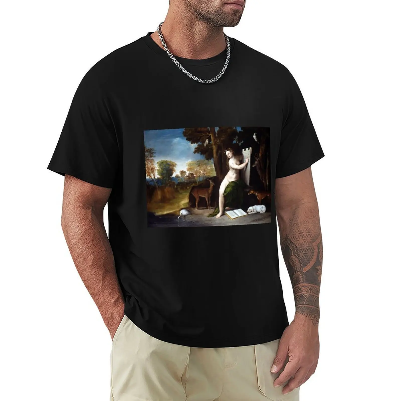 Dosso Dossi Circe and her Lovers in a Landscape T-Shirt baggy shirts quick-drying tops mens graphic t-shirts funny