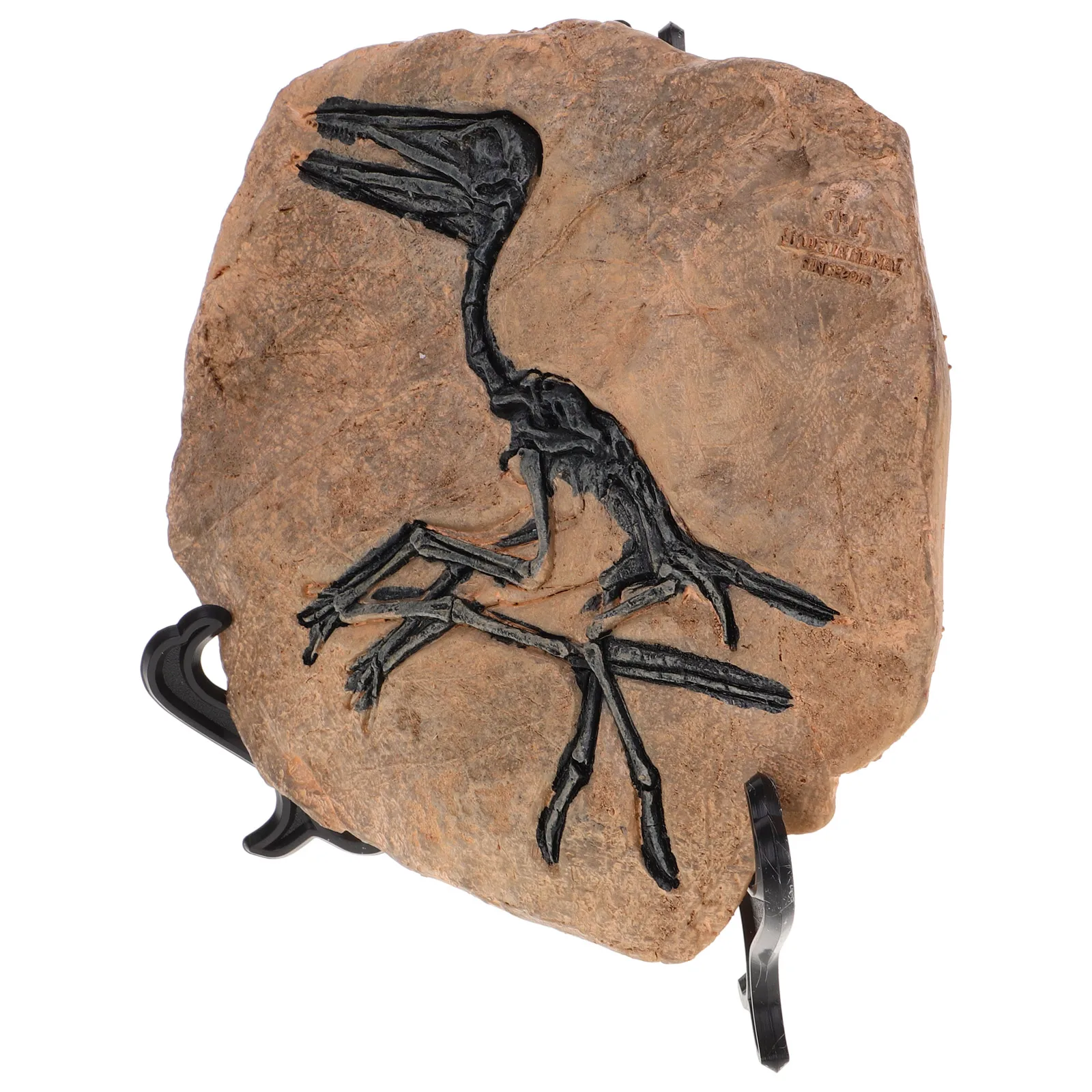 

Dinosaur Resin Model Toys Dinosaur Models Toys Specimen Home Decoration Teaching Props Gifts Boys Paleontology