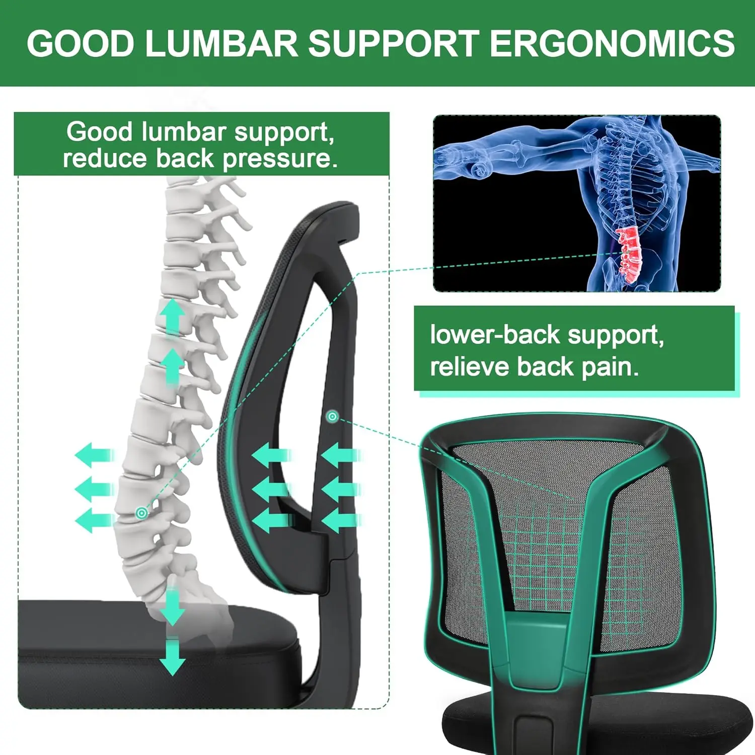 

Swivel Ecgonomic Flexible Computer Home Task Chair No Arms With Adjustable Height And Lumbar Support For Adult And Chair
