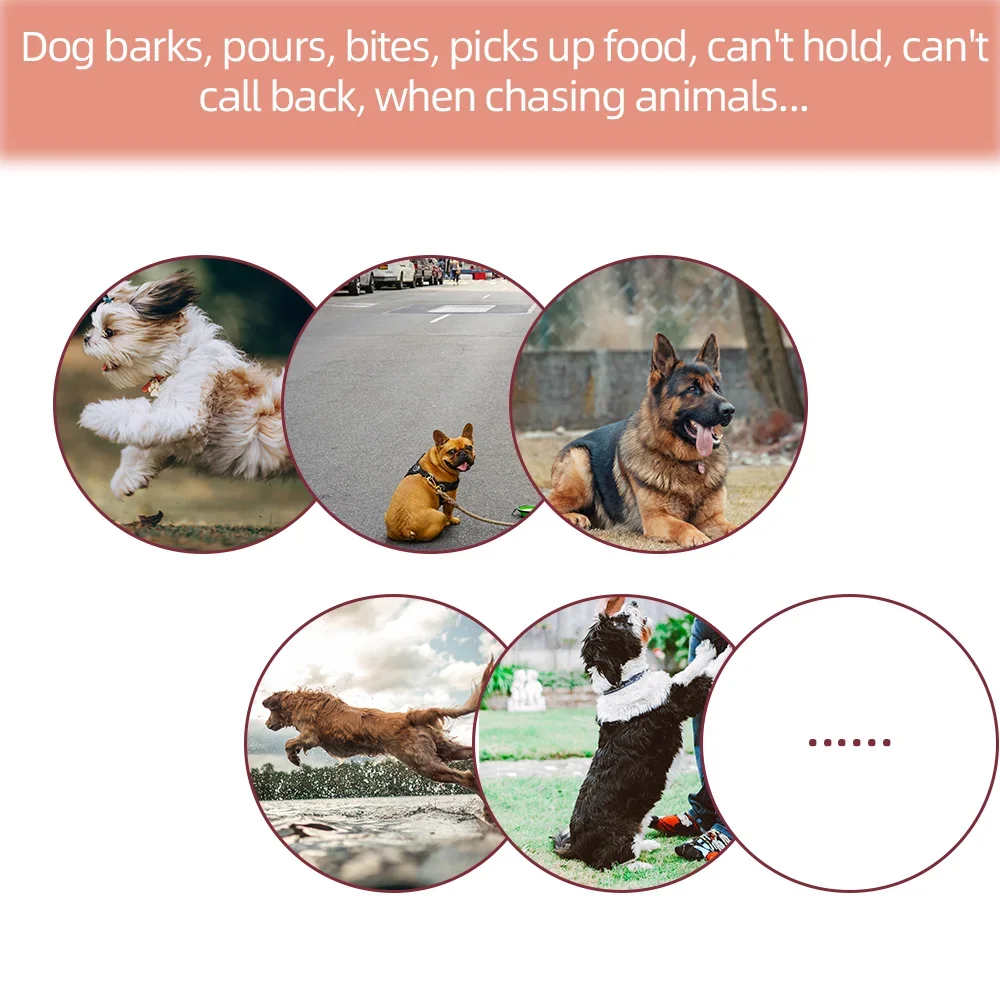 Elektrisches Hundetrainingshalsband, Haustier-Hundehalsband, 800 m wasserdicht, Haustier-Fernbedienung, wiederaufladbar, mit Vibrator, Schock-Vibrationsgeräuschen