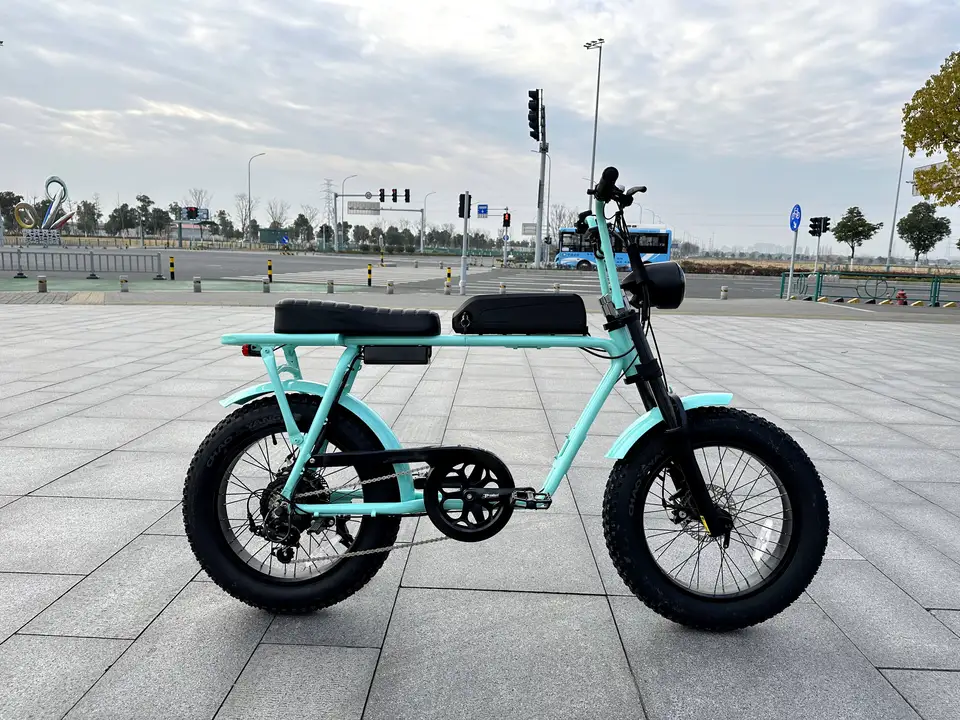 Tiffany Blue Smooth Frame Electric Bike 20"4.0 Fat Tire Electric Bicycle 48V 750W Bafang Fat Tire Ebike From China for Adults image 2