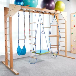 Swing climbing and hanging combination children's indoor fitness ladder