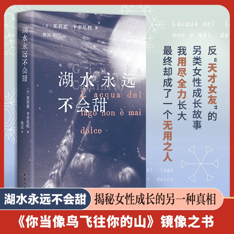 

The Lake Will Never Be Sweet: A Poetic Novel About Love, Loss and Healing!