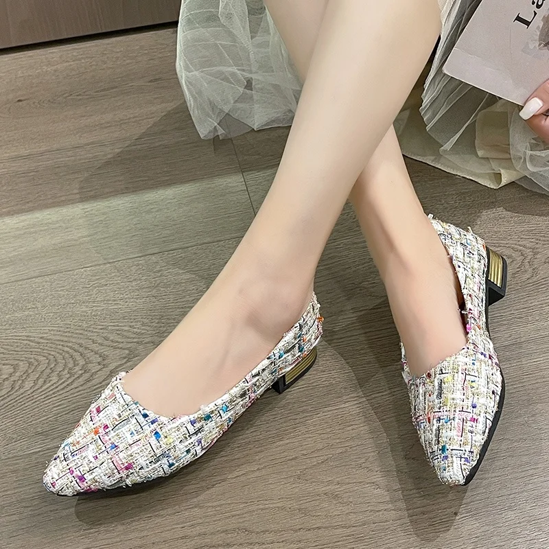 

Woman Shoes Fashion Low Heels 2024 Trend Casual Shallow Loafers Pointed Toe Women Shoes Walking Autumn New Elegant Mujer Zapotos