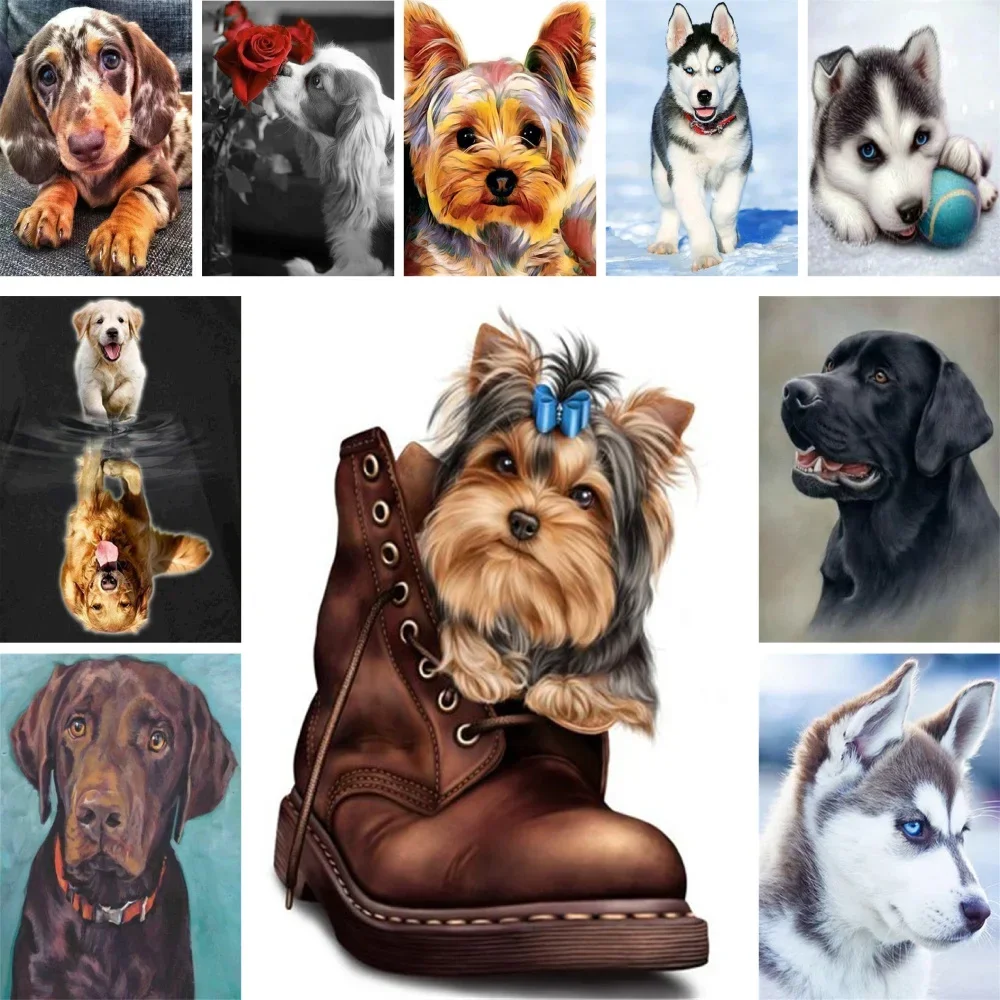 

Animal Pet Dog Yorkshire Paint By Numbers Package Oil Paints 40*50 Canvas Pictures Home Decor For Children Wholesale For Drawing