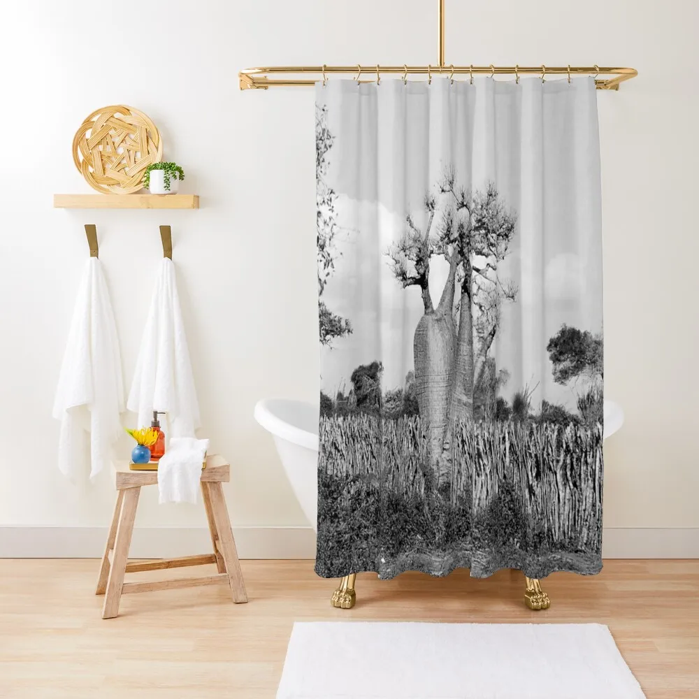 

Madagascar Baobab Tree Black and White Vintage Photography Shower Curtain Anime Shower Bathroom And Shower Curtain
