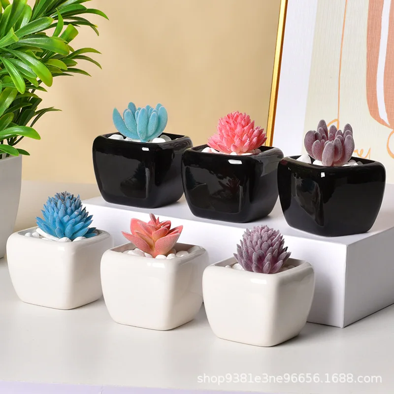 

Mini Square Black White Ceramic Succulent Planter, Minimalist Desktop Flower Pot, Small Container for Thumb Plants