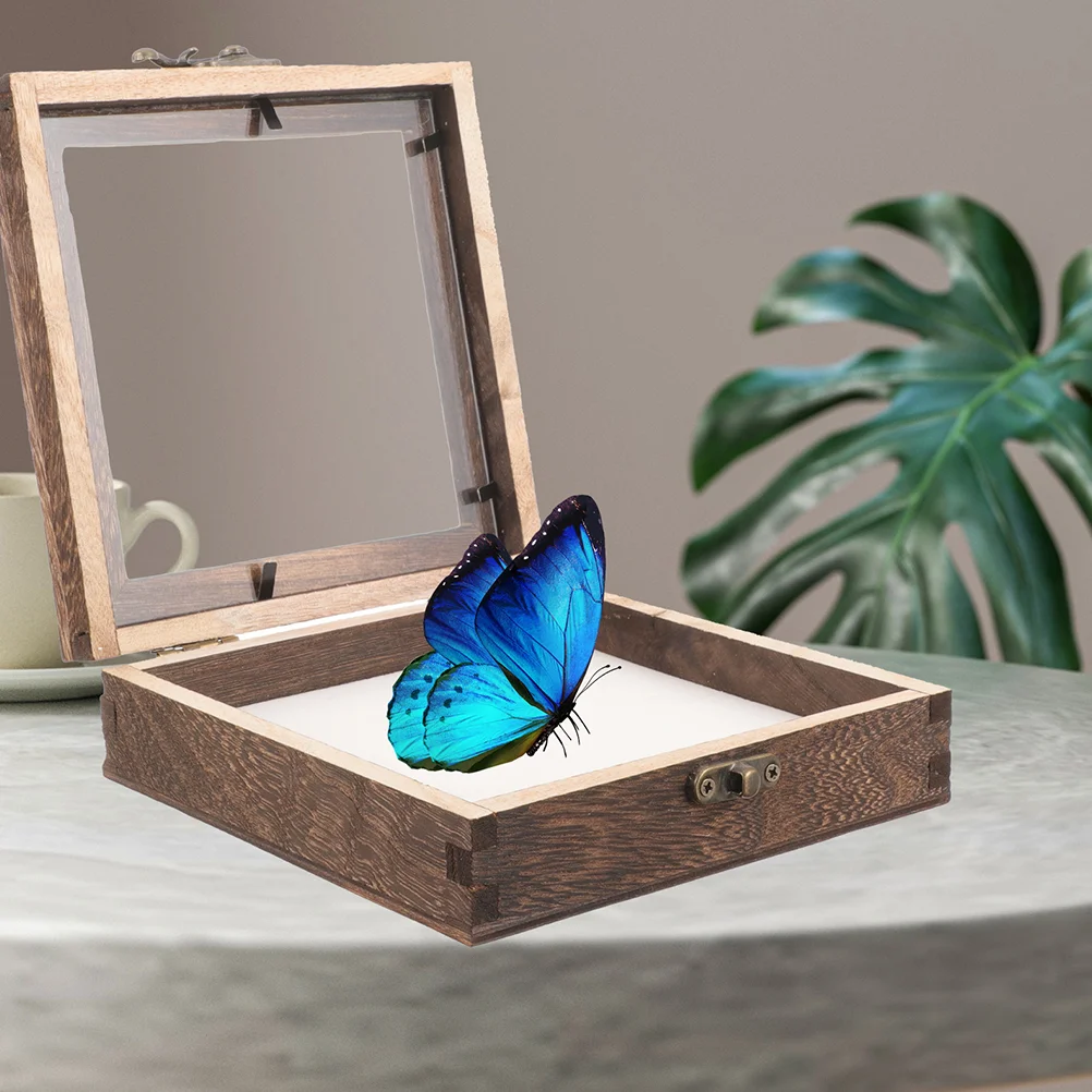 

Butterfly Specimen Display Box Stand Insect Storage Case Ceramics Container Acrylic Wood Holder Plant Cases