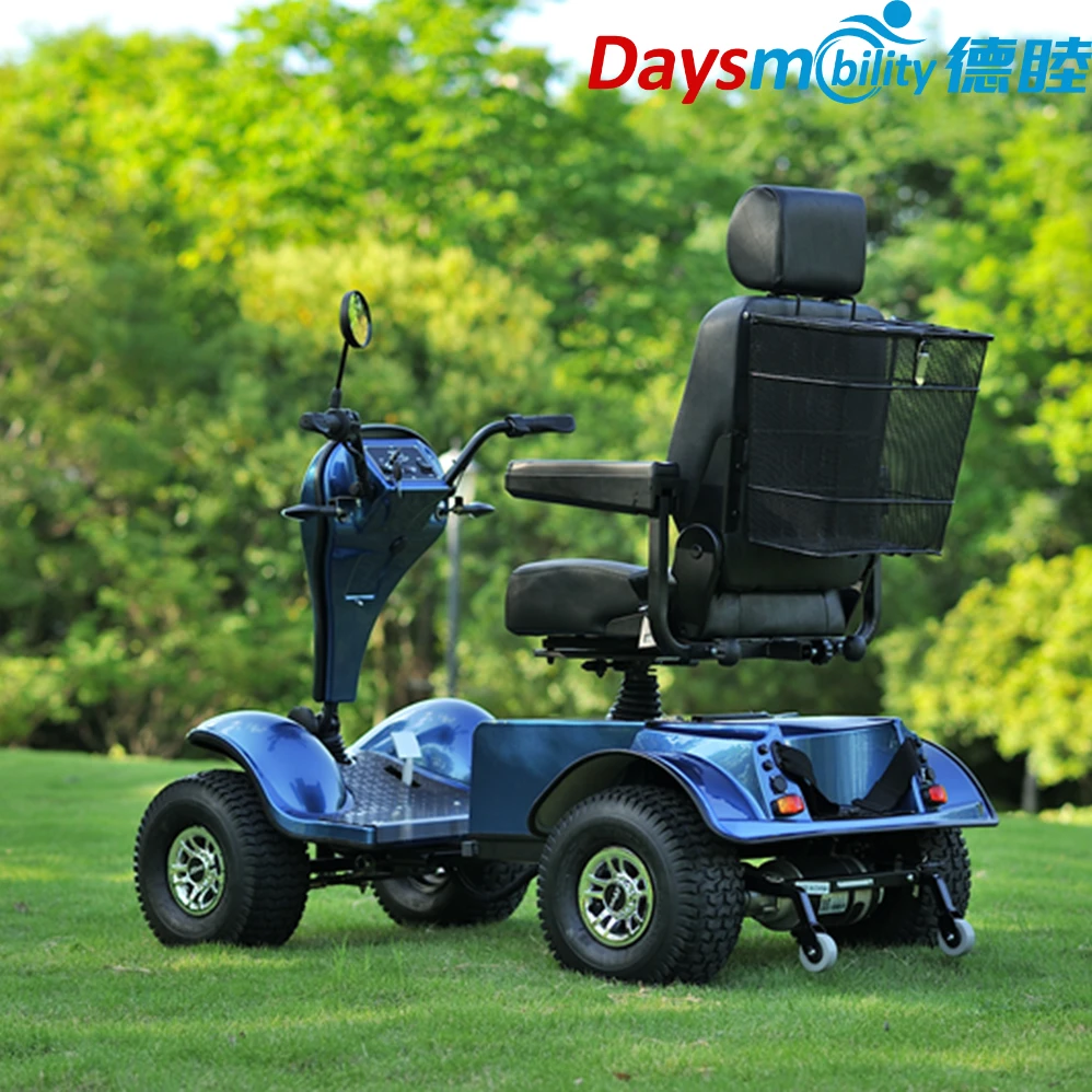 Dailymoving 1200W 24V Electric Mobility Scooter Long Range Removable Lithium Battery EasyRide E-Scooter 30km/h 200kg Load