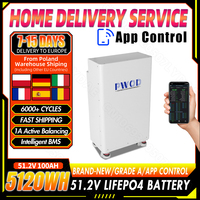 EU STOCK 48V 100Ah Lifepo4 Battery Pack Built-in 100A BMS 51.2V 5120Wh APP Control Prismatic Cells for Solar Energy Storage RV