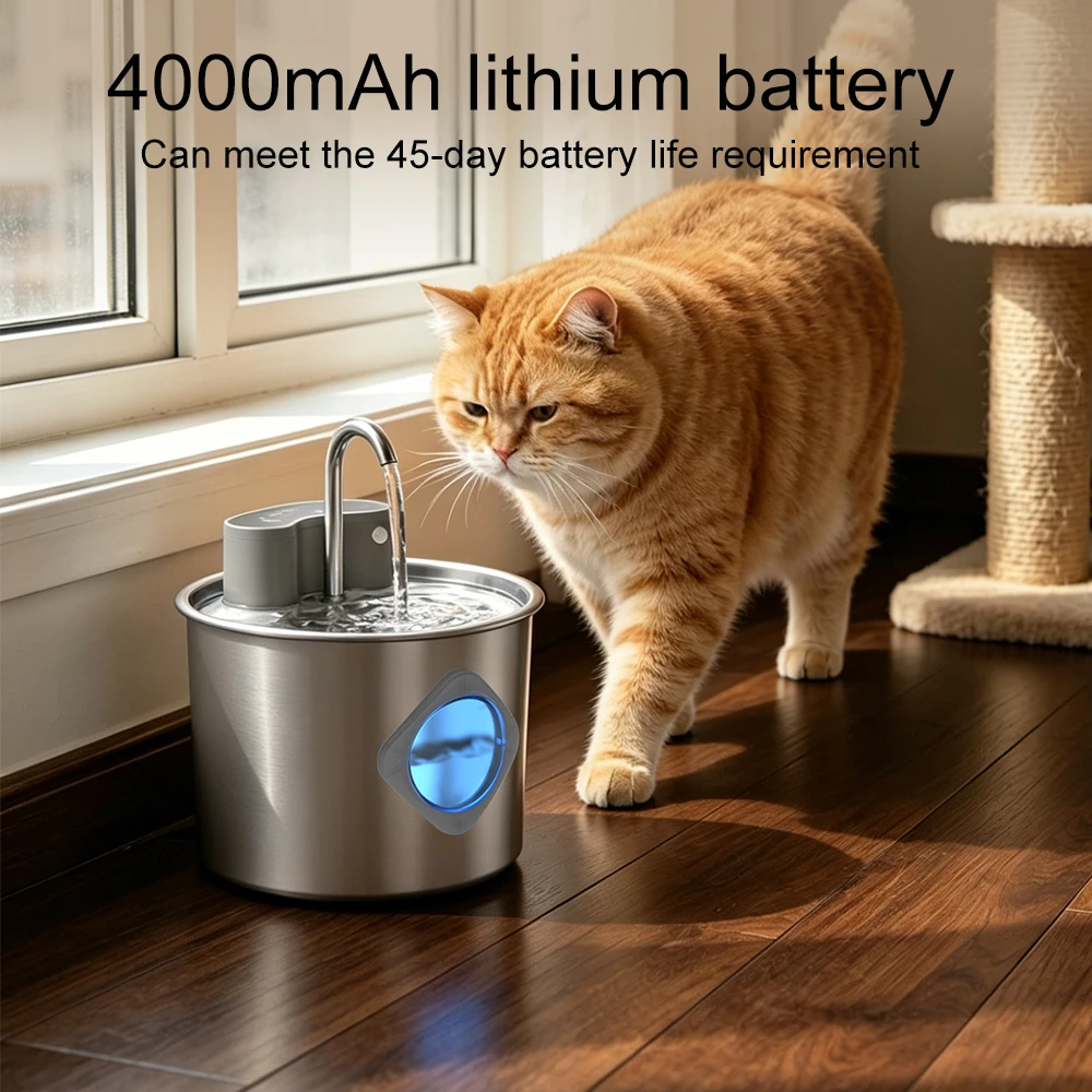 Thumbnail 3 - #19 Low Cost Smart Dog Feeders That Work