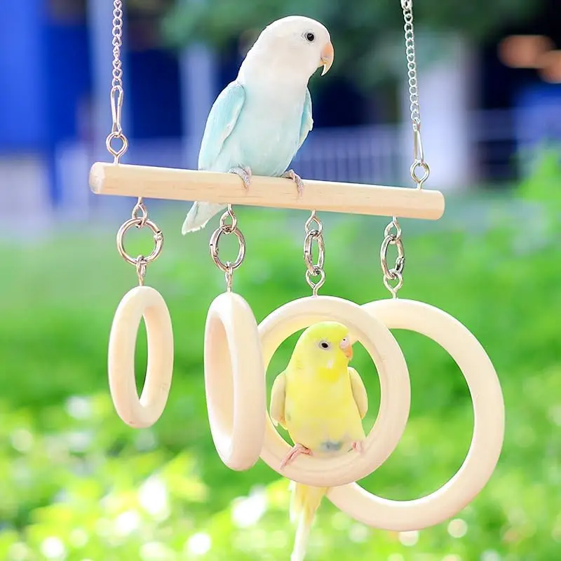 

Bird Swing for Cage - Natural Wood Bird Toys Chew-Proof with 4 Rings & Perch, Cockatiel Toys for Parakeets, Conures, Lovebirds (