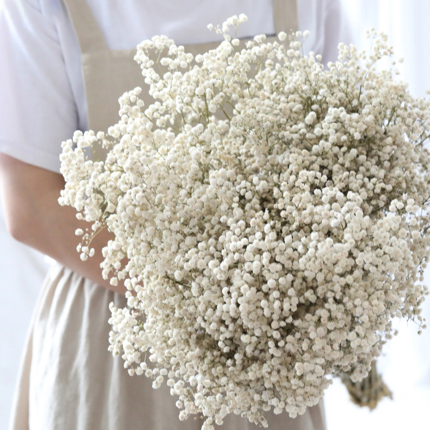 

Wedding Home Decor - 50/80g Natural Dried Flowers Preserved Gypsophila Paniculata Baby’s Breath Flower Valentines Bouquet