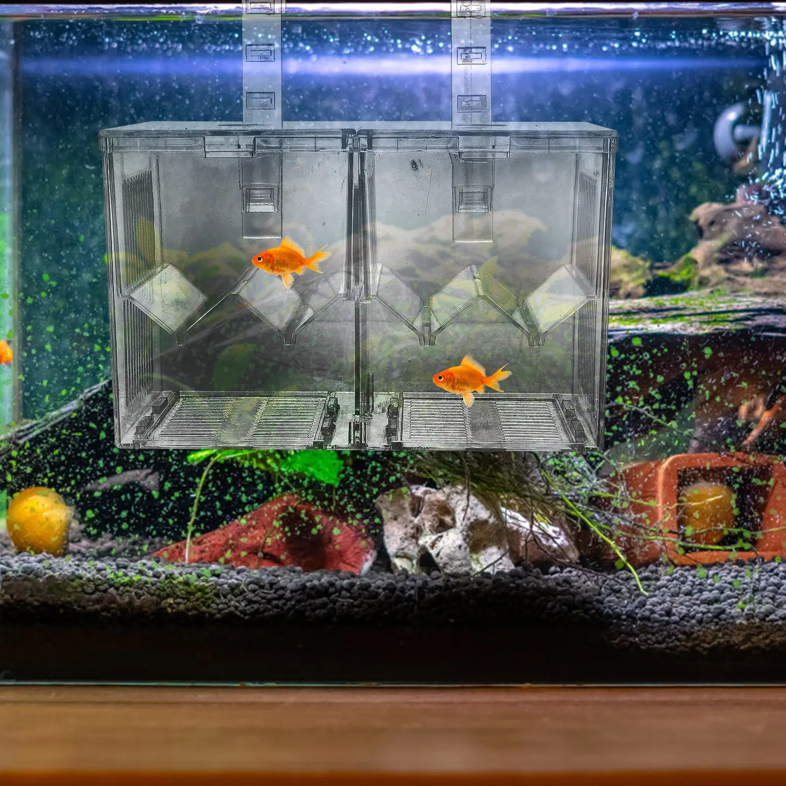 水槽飼育隔離ボックス高品質透明水槽孵化場インキュベーター魚飼育保育ホルダー