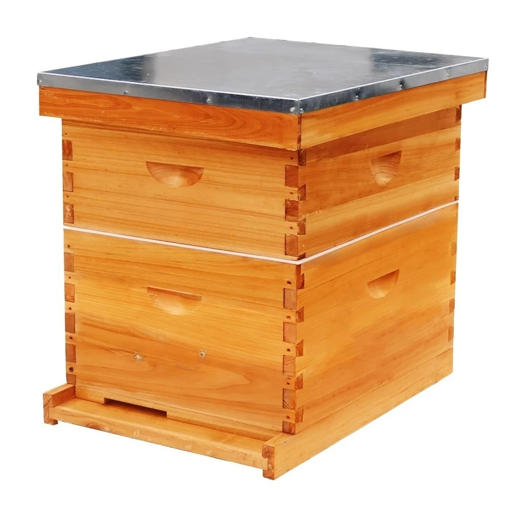 

10 Frame Beeswax Coated Bee Hive Kit, Include Deep Brood Box & Medium Honey Super with Bee Frames & Foundations | All-Natural