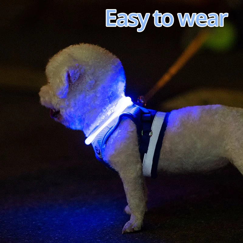 Collar con luz LED para perro, accesorio básico de seguridad con brillo de TPU, recargable por USB, para perros grandes, medianos y pequeños