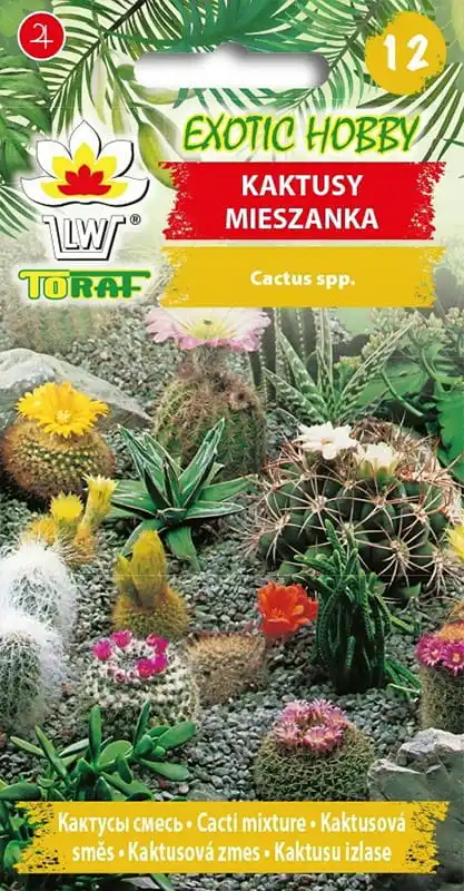 Semillas de cactus Toraf: mezcla de variedades perennes de 0,2 g, fácil cultivo en casa, para macetas y recipientes, florecen en diferentes colores, posición soleada
