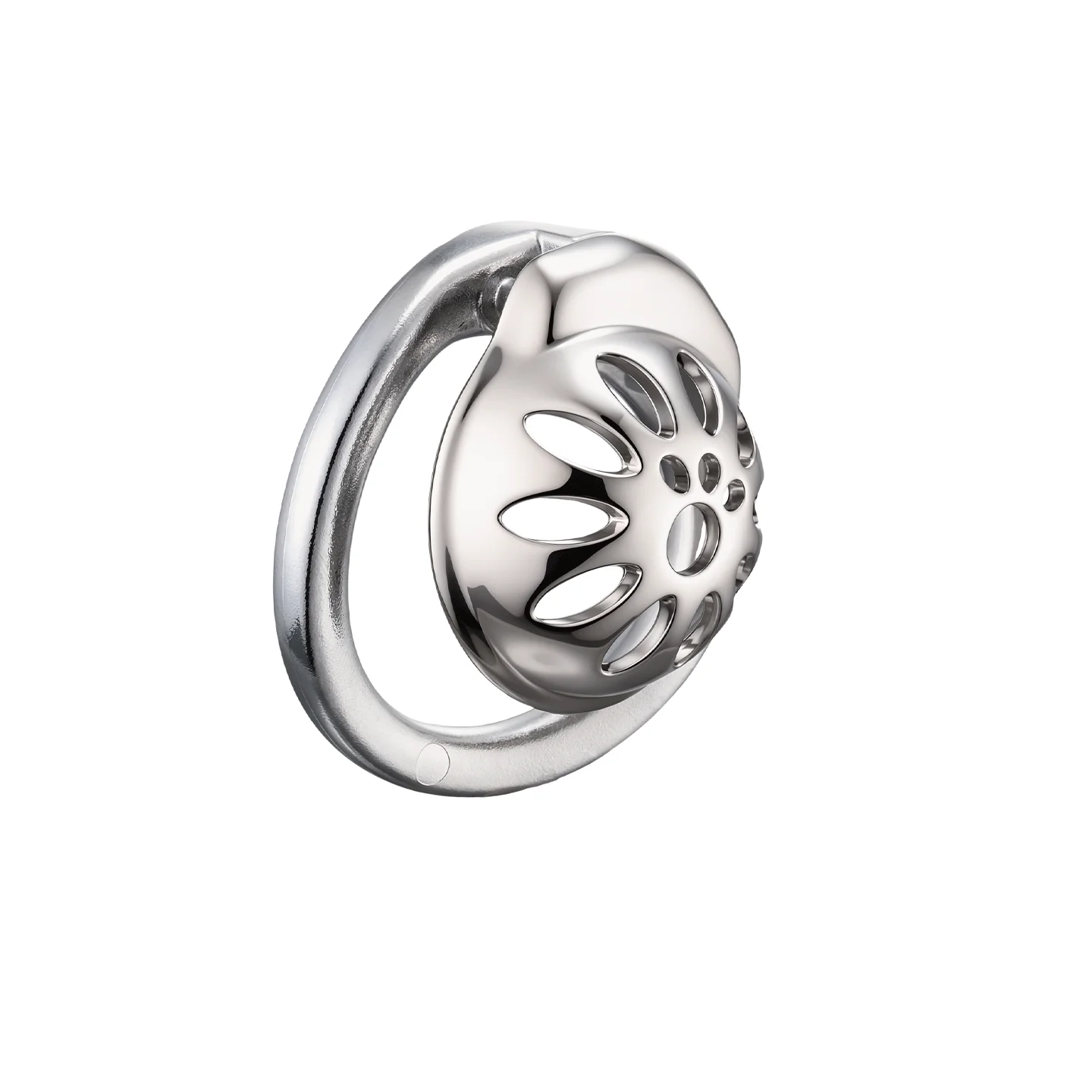 Male Chastity Cage with Lock and Adjustable Penis Rings, Lightweight Chastity Device BDSM Gear for Men view 4