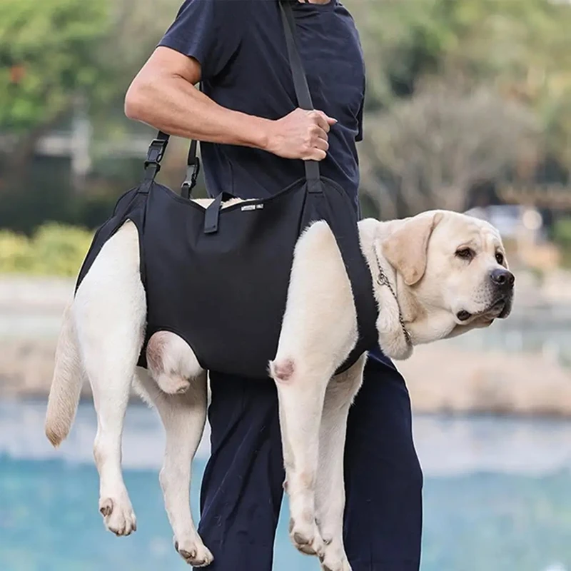 

Dog Carrying Harness Pet Support Harness Puppy Rehabilitation Lift Vest Adjustable Strap Thicken Handle For Injuries