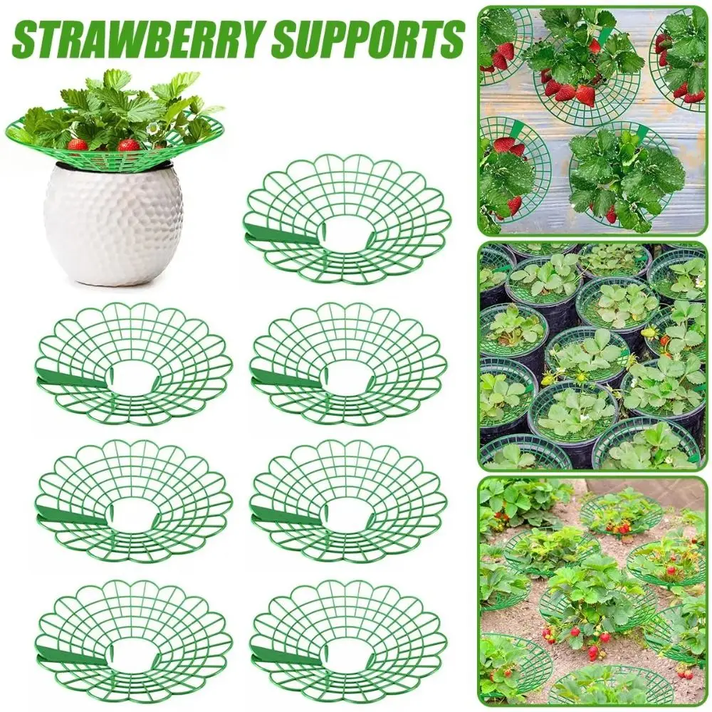 

1/3Pcs Round Strawberry Stand Anti-ground with Three Sturdy Legs Strawberry Cradle Support Anti-corrosion Plant Tray Stand