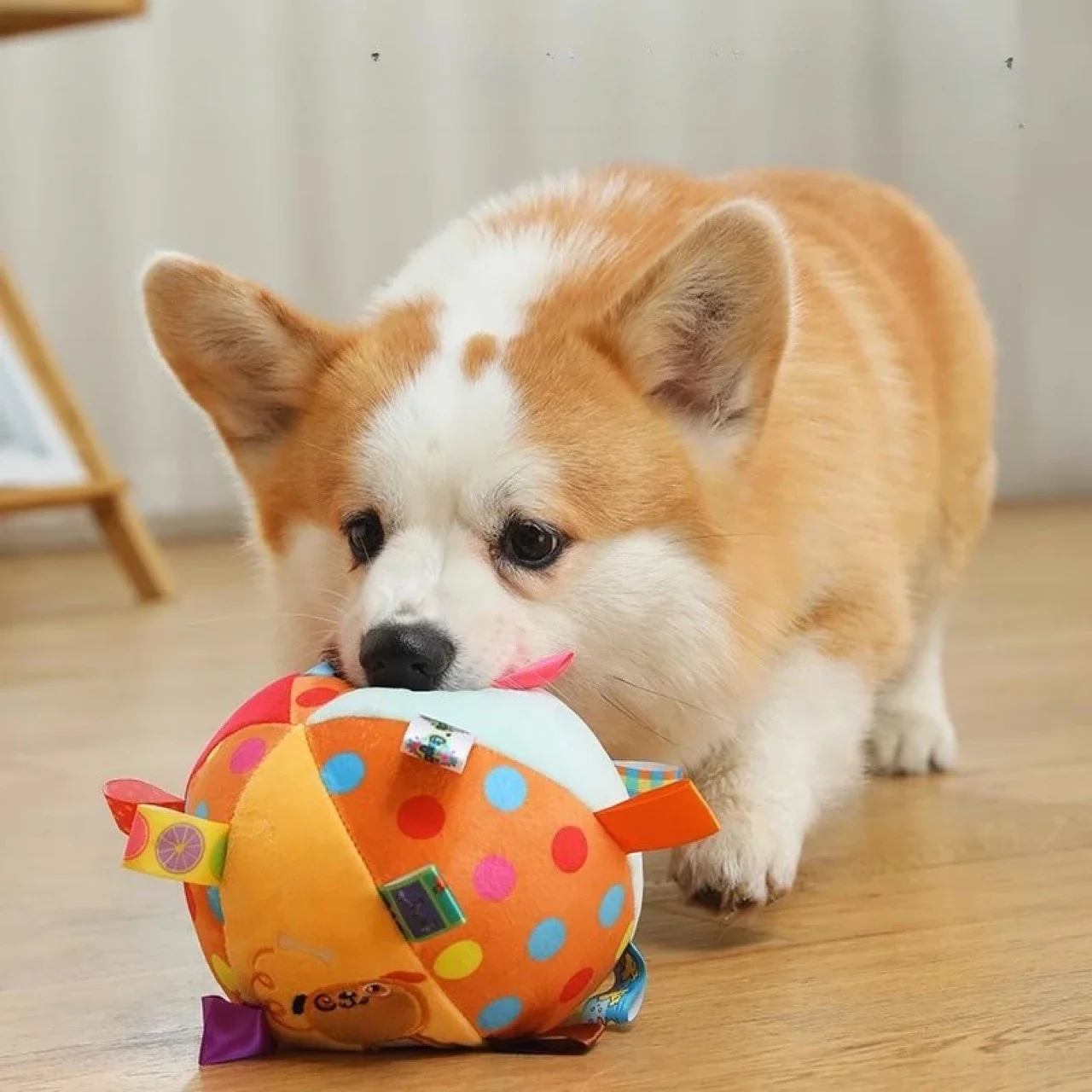 

Dog Toy Ball Chew Resistant Molars Football Teddy Golden Hair Border Collie Relief Artifact Sounding Pet Ball Supplies
