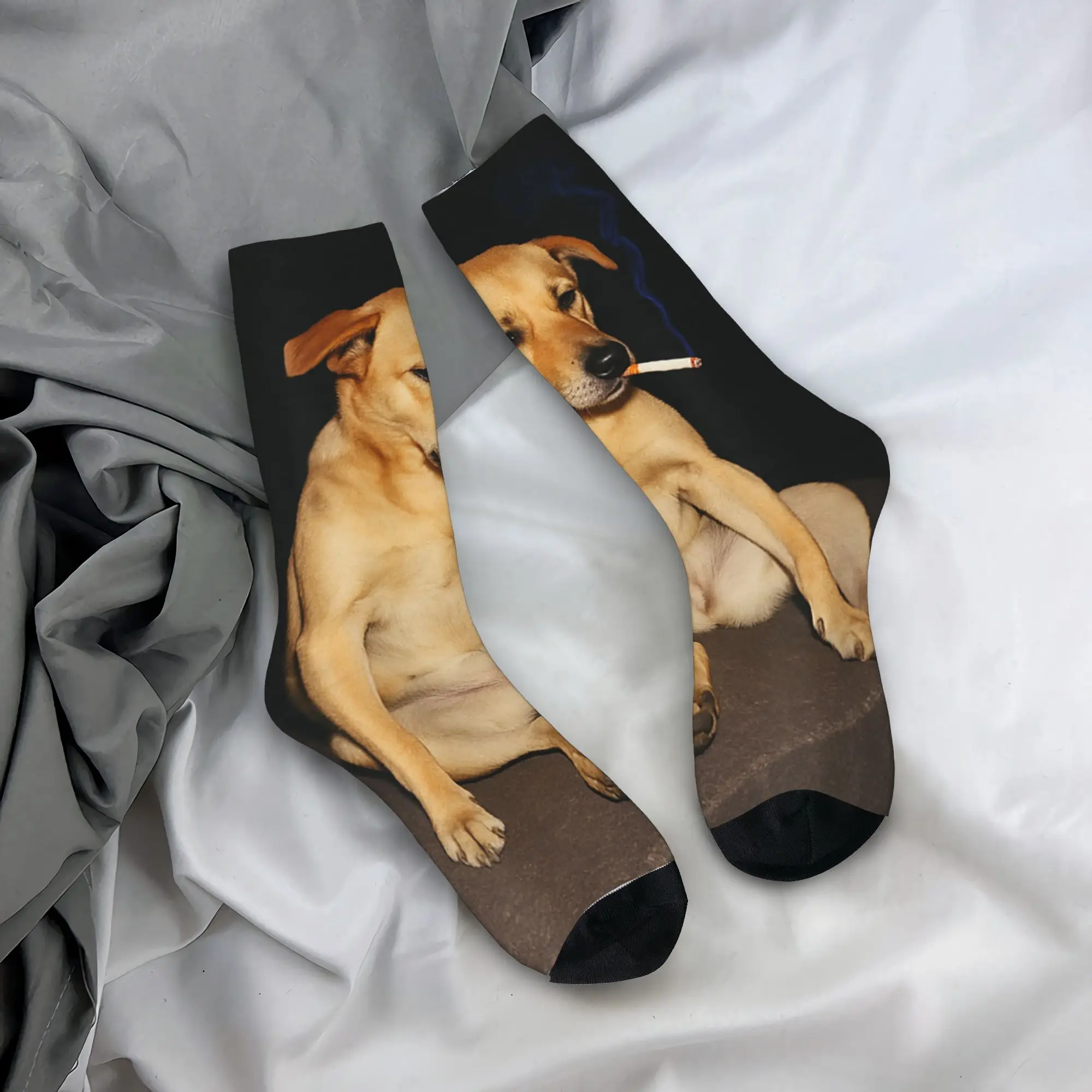 

Funny Animals Smoking Mens Women Cute Cat Dog Duck Meme Socks Autumn Stockings Modern Couple Soft Socks Cycling Non Slip Socks