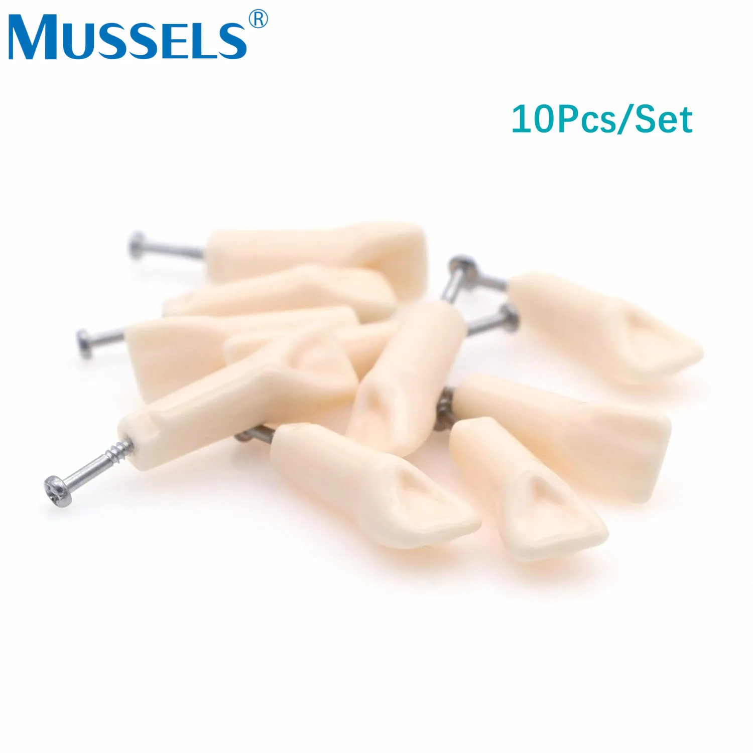 10PCS Dental Teeth Model Typodont Screw-in Replacement Tooth Fit NISSIN Removable Technician Practice Training Studyting Dentist