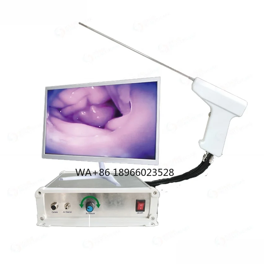 

Upgraded Veterinary Visual Transcervical Artificial Insemination Gun Canine TCI