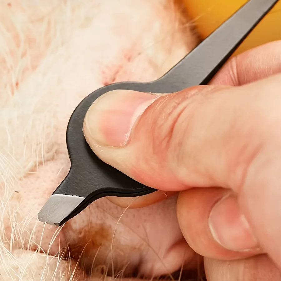 Pinça de ponta inclinada com alça oca, ferramenta de remoção de pelos faciais e sobrancelhas de aço inoxidável, para homens e mulheres, aço inoxidável, 1 peça