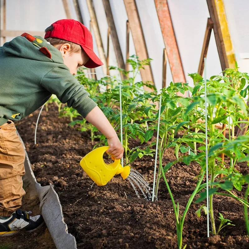 Set di picchetti per piante rimovibili da 25 pezzi per Tunnel ad anello per serra, Set di telai di supporto per piante in fibra di vetro antiruggine