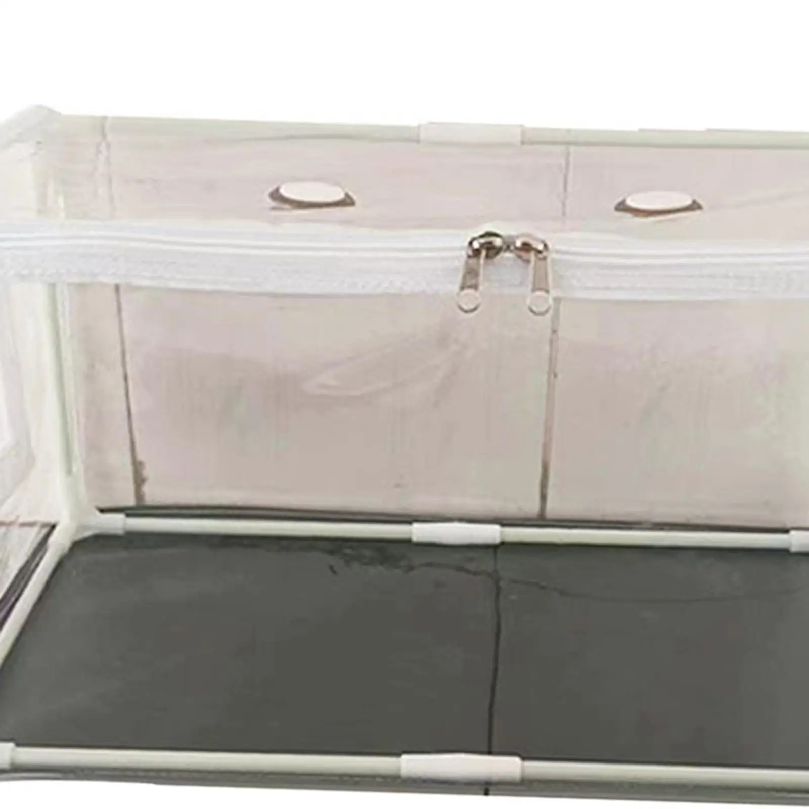 Mushroom Container DIY Kit 80cmx50cmx50cm Horticulture Supplies Space Saving Cover Mini Greenhouse for Kids and Adults