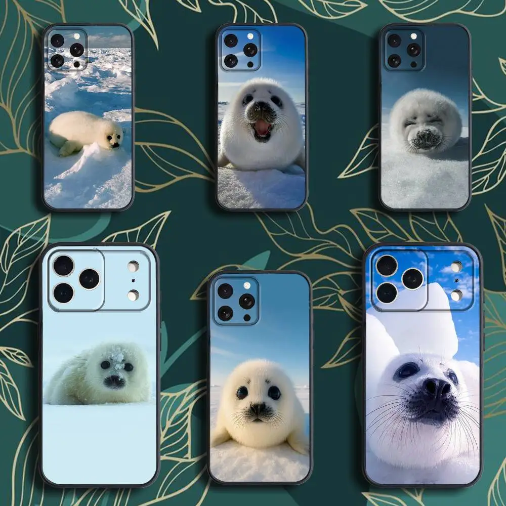 

Seal A-Animal C-Cute Phone Case For iPhone 17,16,15,14,13,12,Pro,Max,Plus,E,SE4,Air,Mini Black Soft Box