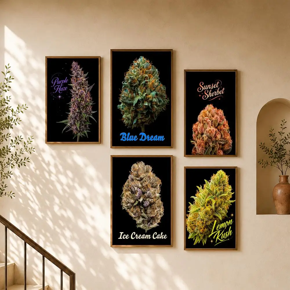 Cannabis Flower Bud Strains Colorful Botanical Black Background Poster Home Room Cafe Club Decor Aesthetic Art Wall Painting