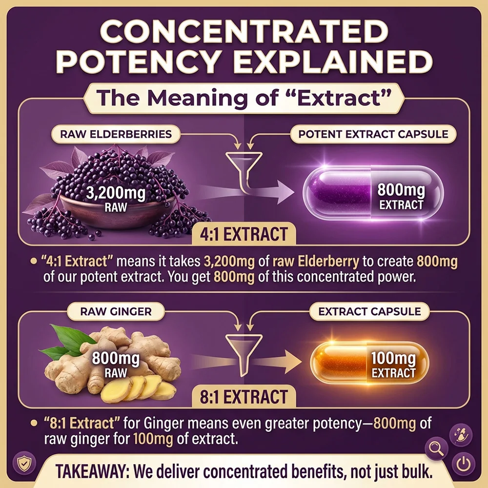 Elderberry Capsules, Supports Skin Radiance, Tone, Immune Wellness for Adults, Natural Herbal Supplement, Antioxidant