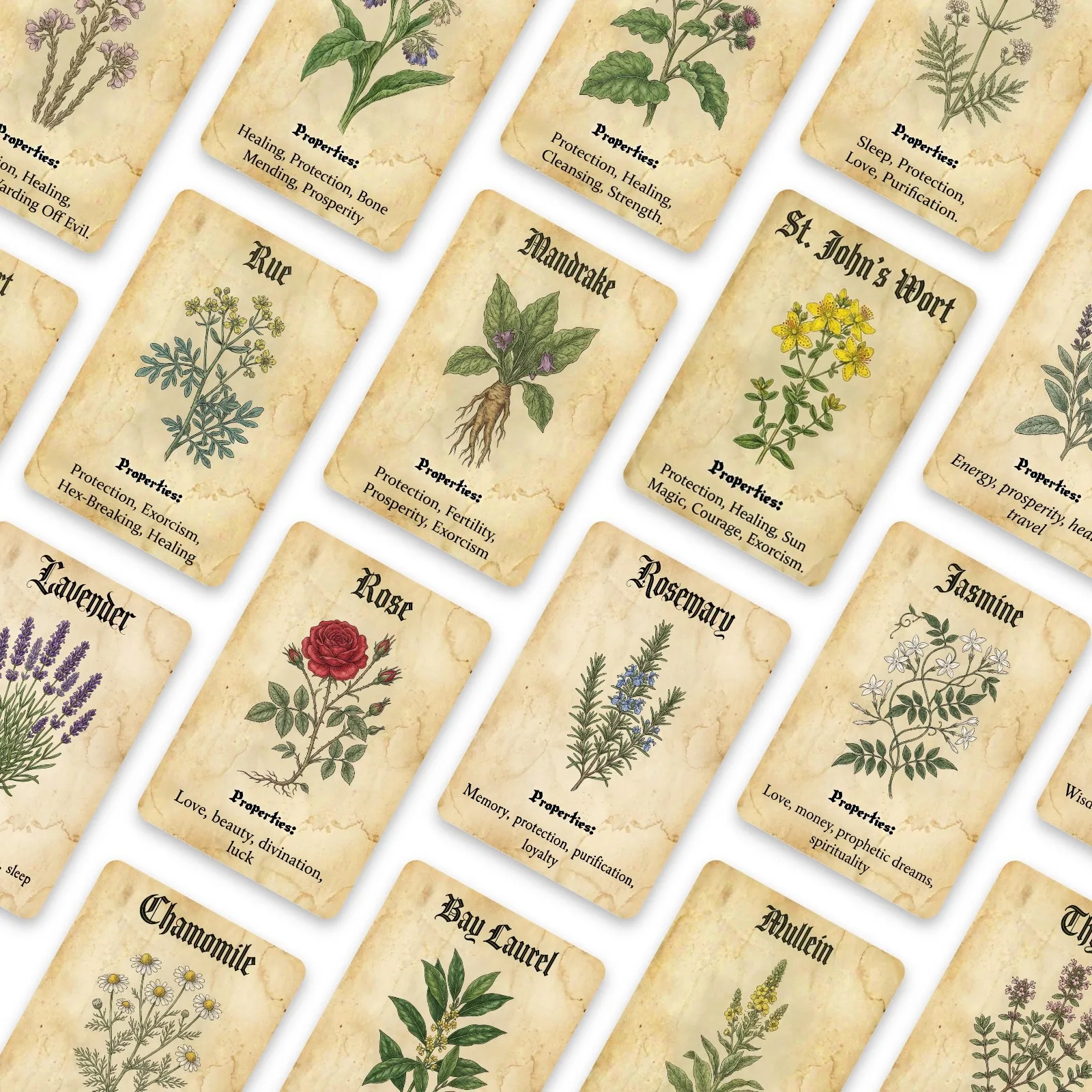 Vintage magische plantenthema- - Vintage Collectible Cards recensie en prijs
