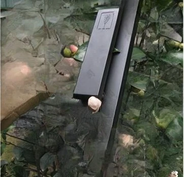 Scanning type, living leaf area measuring instrument