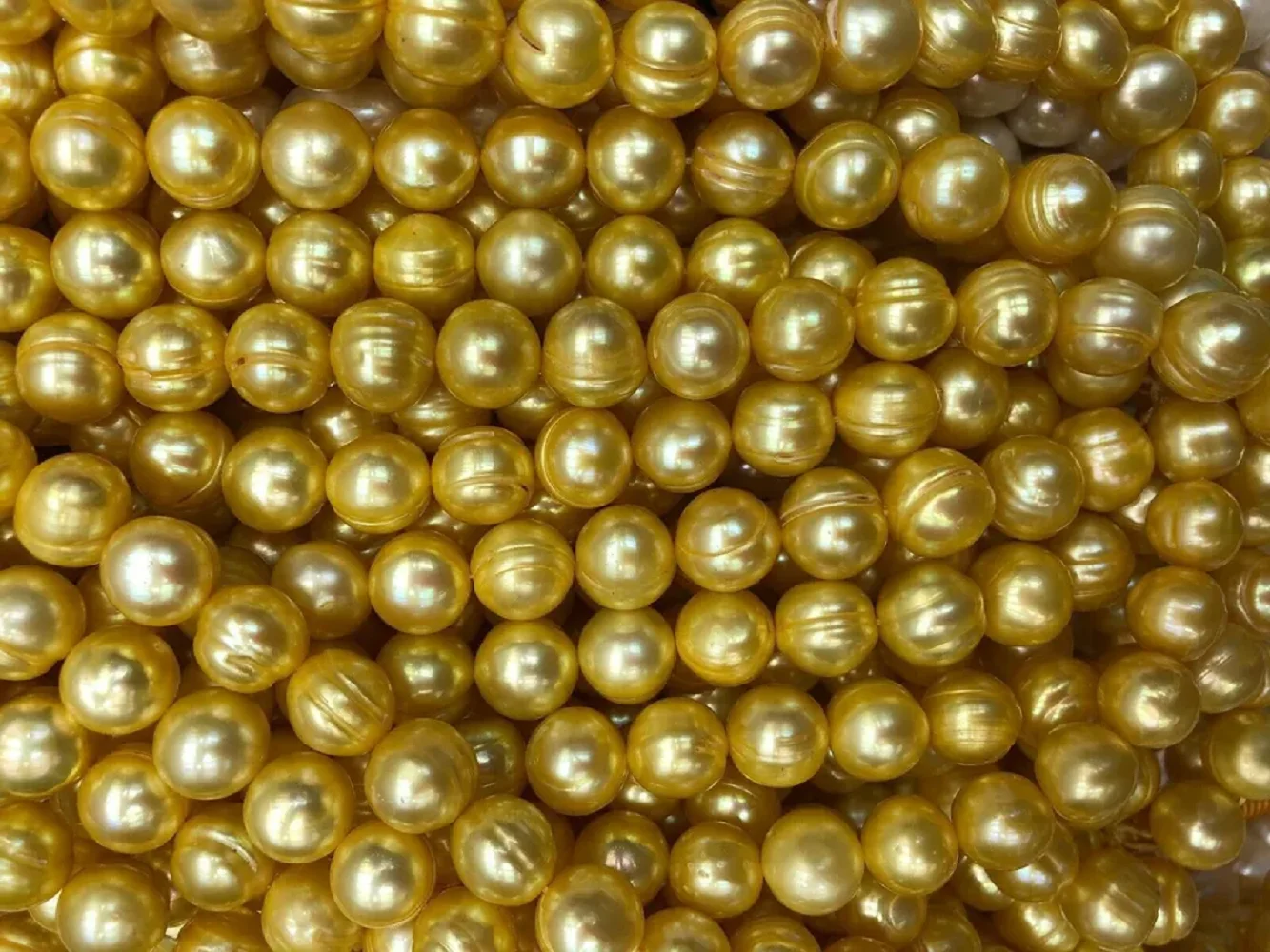 Large quantity AAA+11-12mm South China Sea Baroque Gold Pearl Necklace 18/36 inches 14k