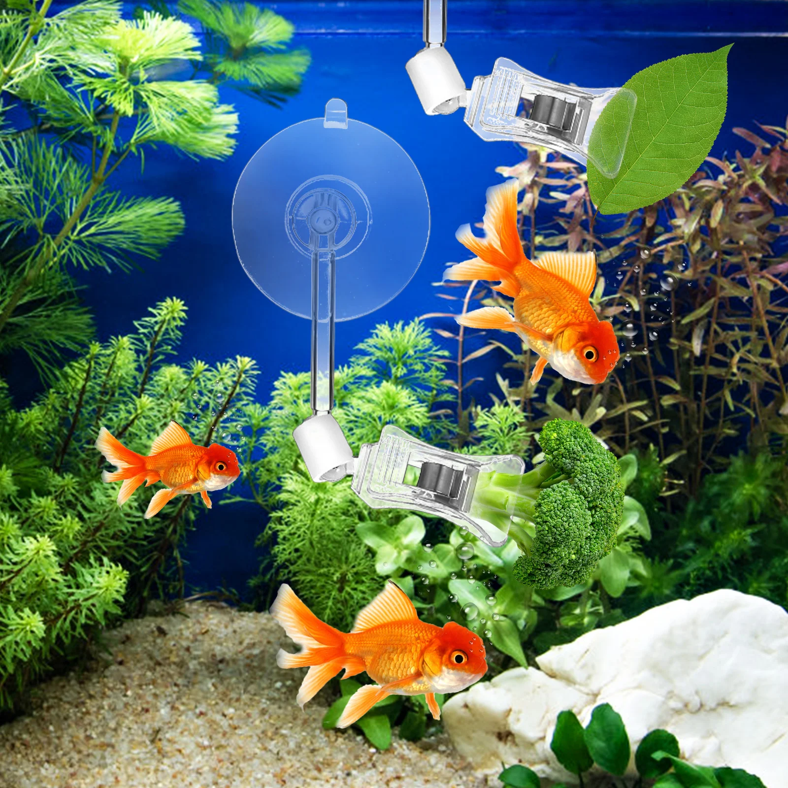 

3Pcs Aquarium Suction Cups Clips Fish Tank Pump Accessories Clamp Sign Holder Clips Adjustable Angle Clamp Sign Holders