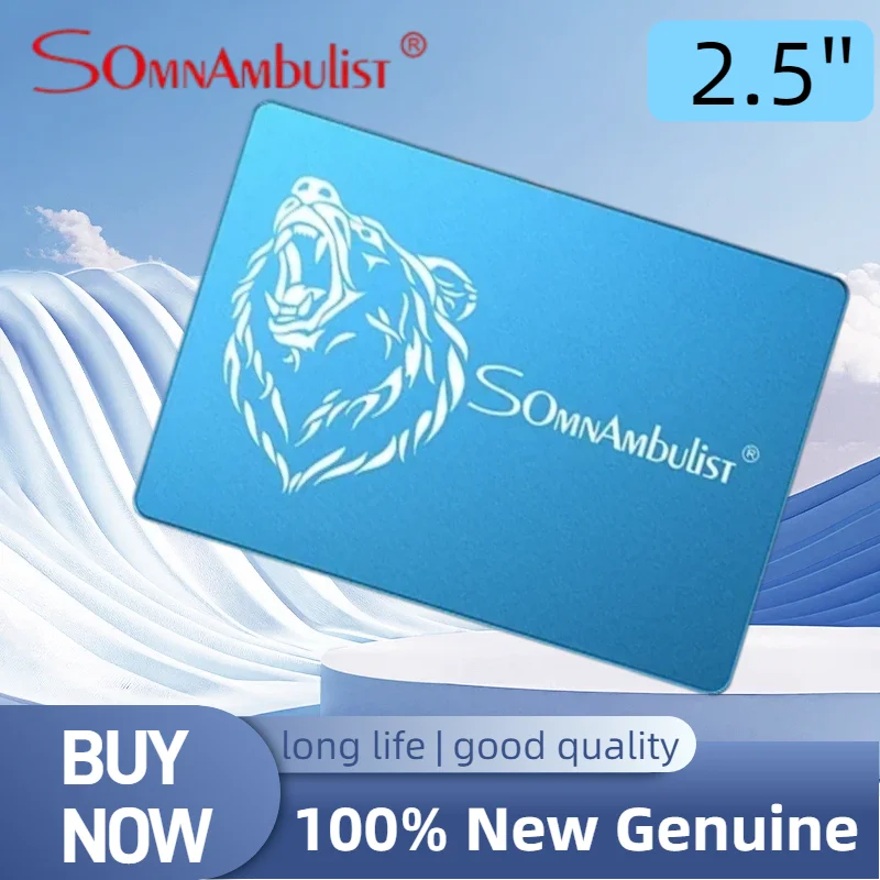 SomnAmbulist SSD Fast Solid State Drive Wholesale 2.5'' SATA Interface Suitable for Notebook & Desktop PC System Upgrade