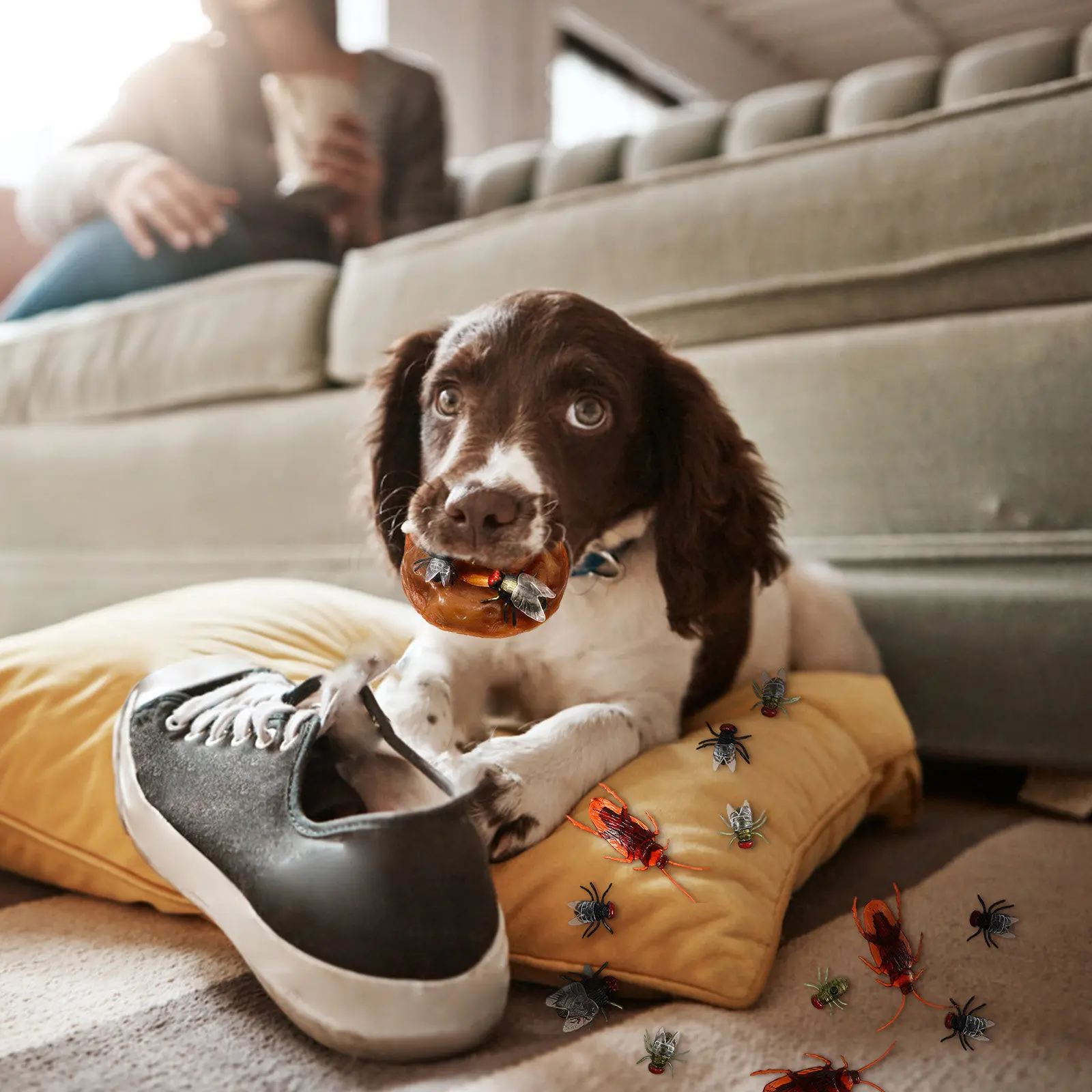 

1Set Fake Poop and Maggots Prank Kit Realistic Toilet Joke Stuff for Fooling Friends Family Surprise Reactions Gag Present