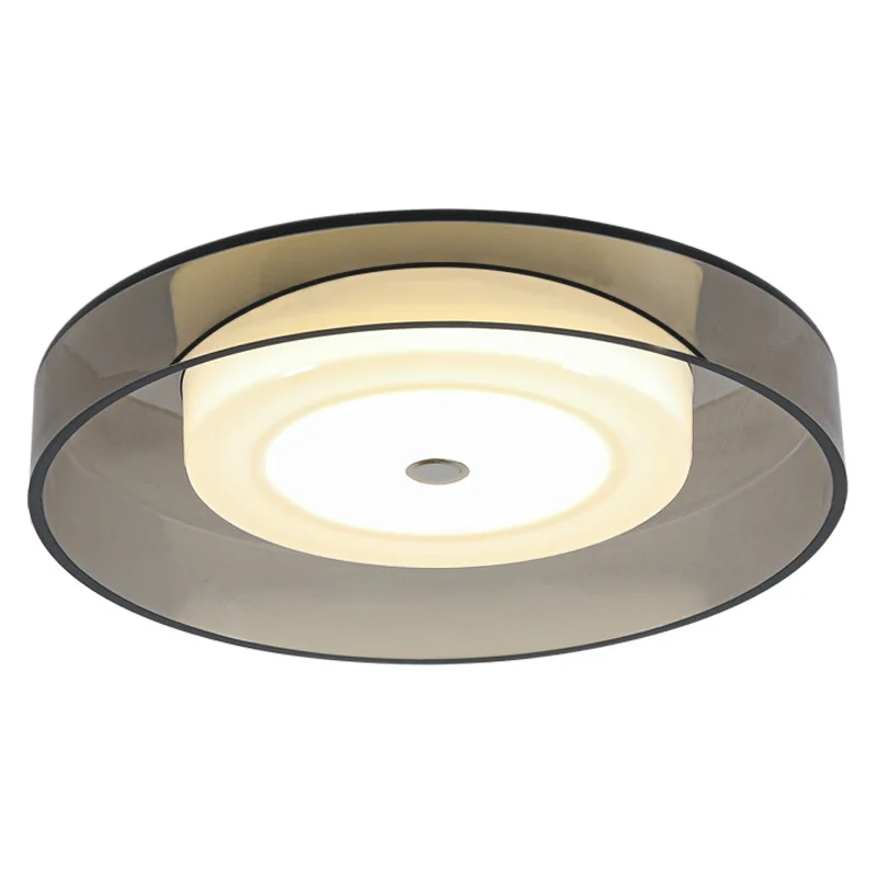 Home Decor LED Ceiling Light For Living Room Dining Room Bedroom Modern Chandelier Indoor Aisle Corridor Ceiling Lamp Luminaires