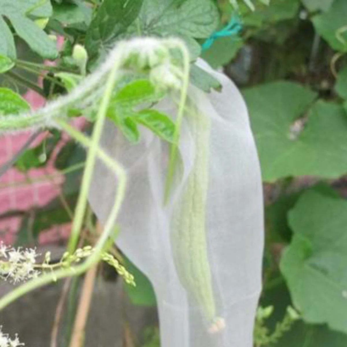 

25pcs Insect Net Bag Garden Mesh Barrier Reusable Plant Protection For Fruit Flower Crop Cover Outdoor Agriculture Pest Control