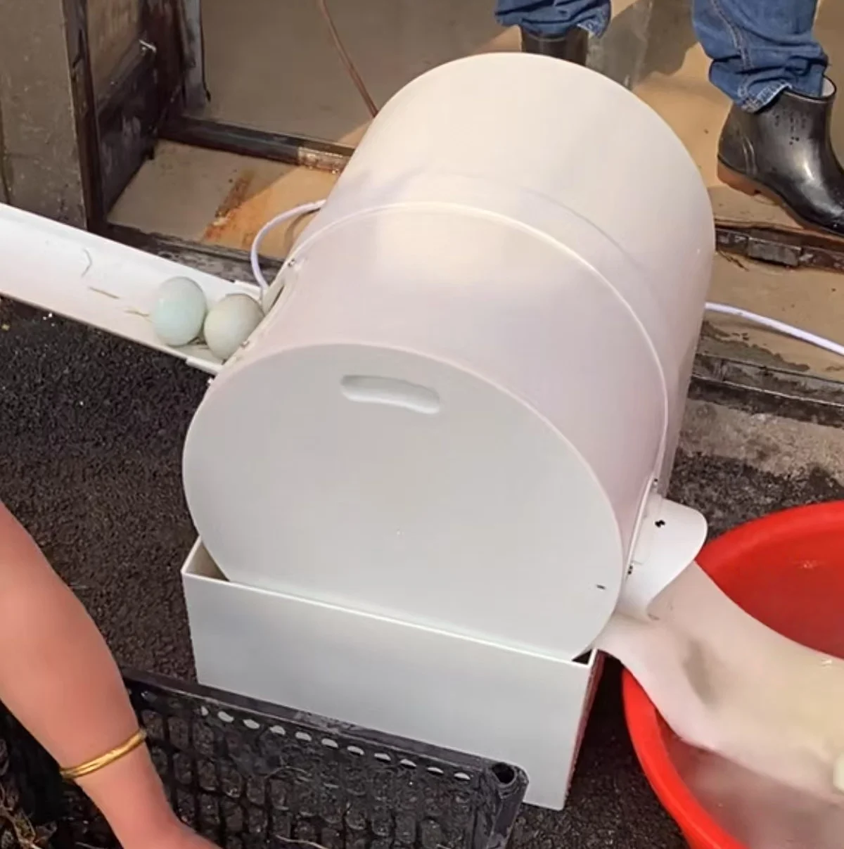New Type Egg Cleaning Machine/chicken Egg Washer for Sale/small Egg Washing Machine