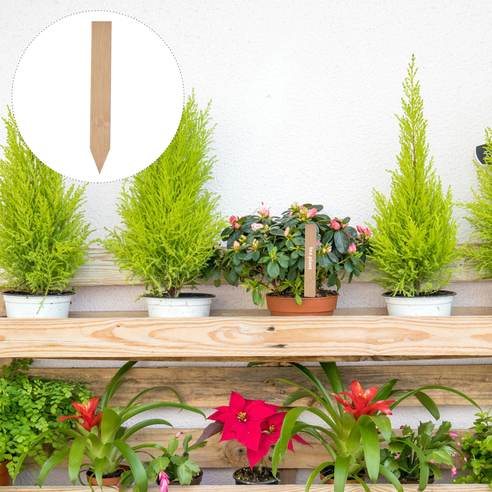 

50 Pcs Wooden Plant Labels Durable Yard Markers Waterproof Garden Tags Smooth Surface Long Lasting Gardening Art