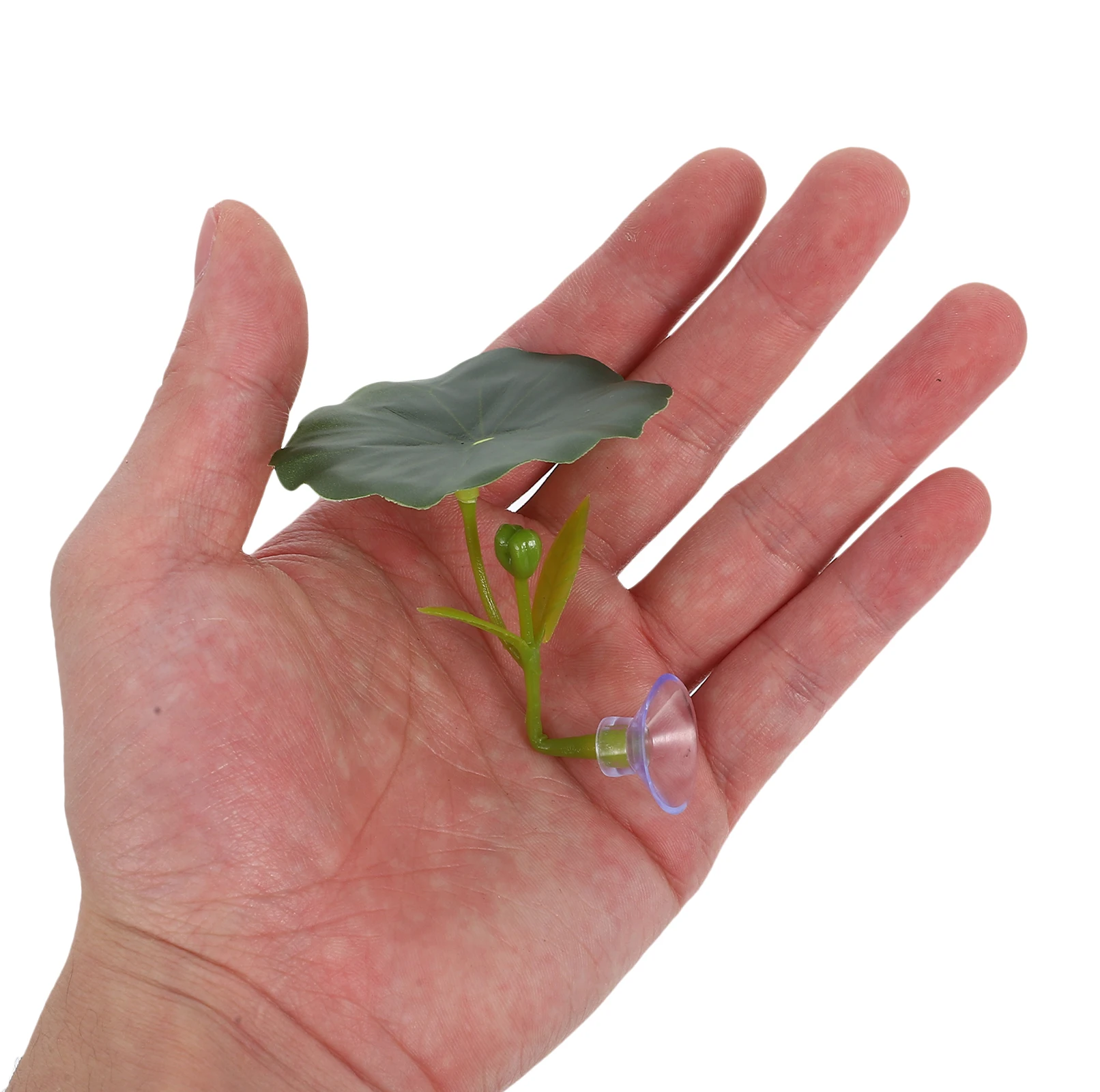 

Artificial Lotus Leaf Betta Fish Resting Spot for Aquarium Decoration Fish Tank Accessories Ideal for Betta Fish Resting Hiding